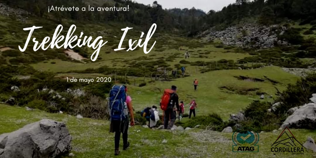 Descripción de la foto