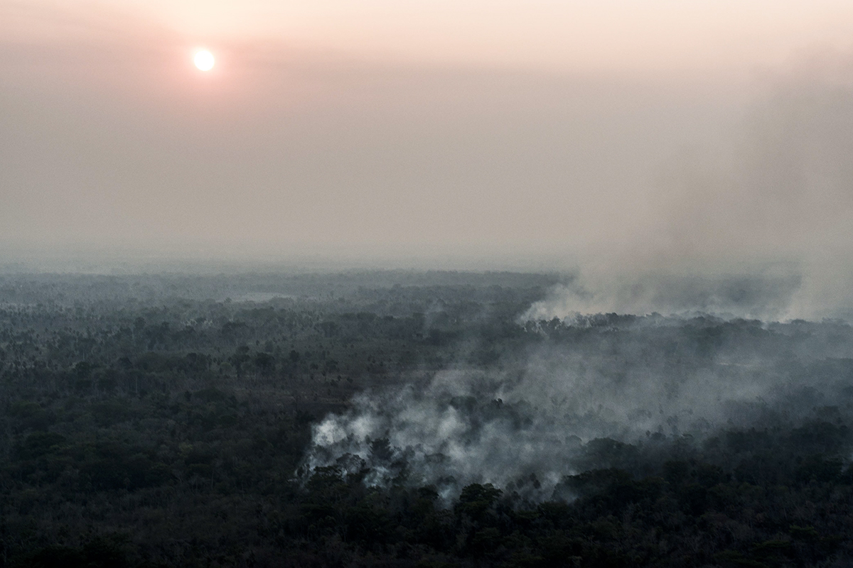Miles de hectáreas de selva arden cada año en la zona protegida