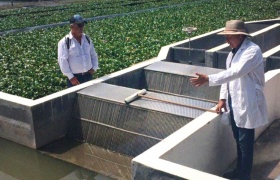 Armando Rivas muestra el desarenador, la primera fase del humedal que retiene y filtra los sólidos que contaminan el agua a tratar.